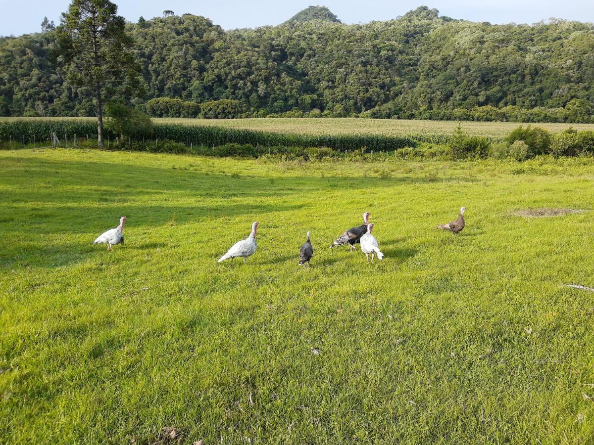 Fazenda Tamandua Casa De Campo - Cabana Coragem Villa Rio Rufino Kültér fotó