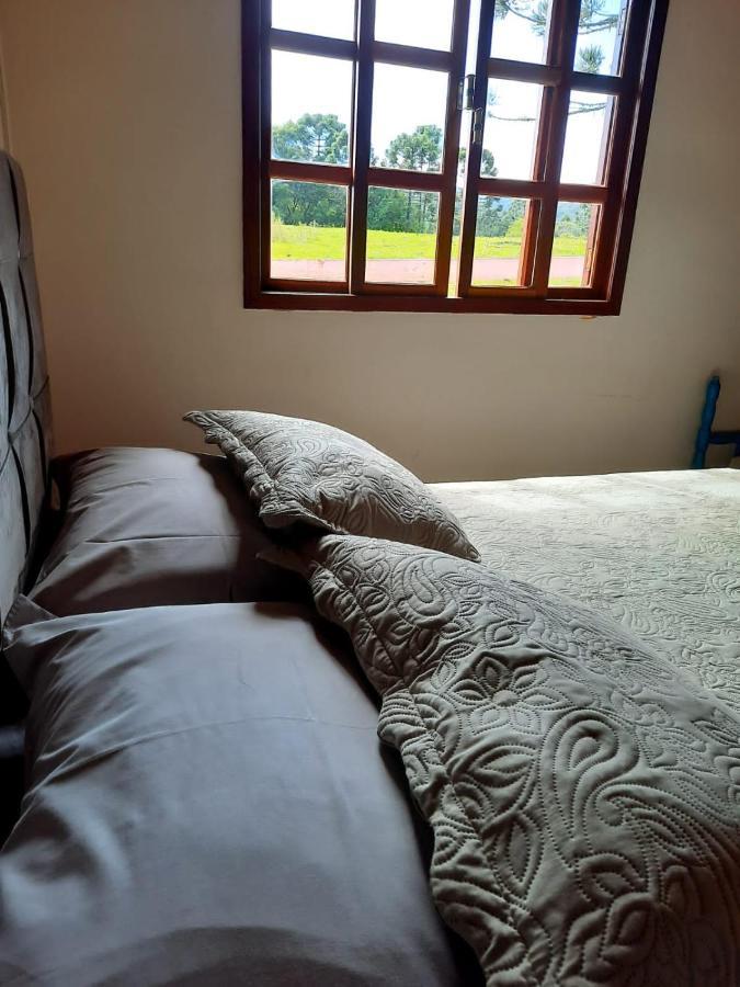 Fazenda Tamandua Casa De Campo - Cabana Coragem Villa Rio Rufino Kültér fotó